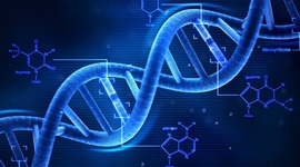 Timeline: DNA Timeline