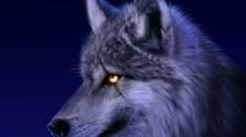 Timeline: Quentin Brown