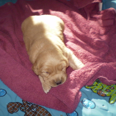 Timeline: Suki Grows Up