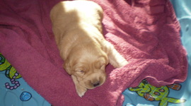 Timeline: Suki Grows Up