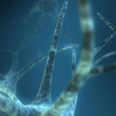 Timeline: TEORIA CELULAR