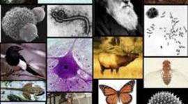 Timeline: Historia de la biologia