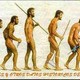 Evolucion de internet 1024x449