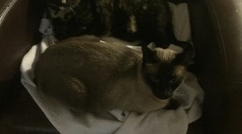 Timeline: Literacy Timeline