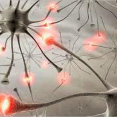 Timeline: Historia de la investigación en la psicología