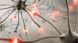 Timeline: Historia de la investigación en la psicología