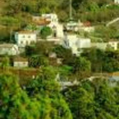 Timeline: La expancion cultural y demografica