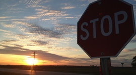 Timeline: Dana Witheft's Literacy History