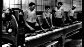 Timeline: PRINCIPIO  ADMINISTRATIVO