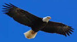 Timeline: History Class Timeline 2015-16