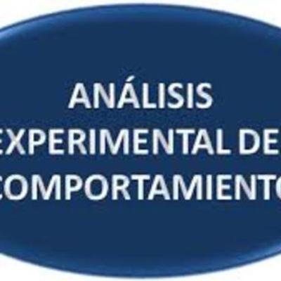 Timeline: Análisis del Comportamiento