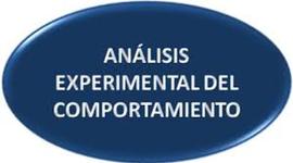 Timeline: Análisis del Comportamiento