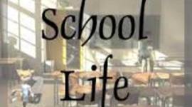 Timeline: Lindsay's School Life