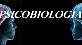 Timeline: Psicobiología