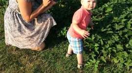 Timeline: Mme Julie Robichaud