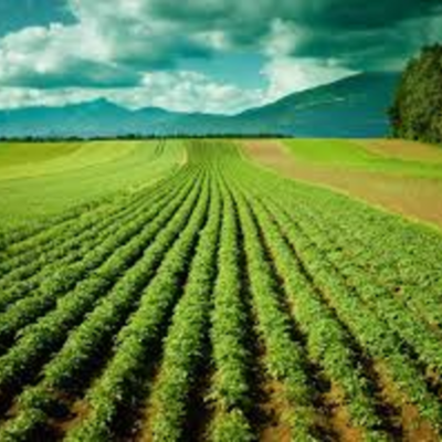 Timeline: LEY FEDERAL DE REFORMA AGRARIA ACTIVIDAD 2