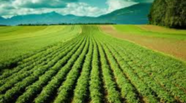 Timeline: LEY FEDERAL DE REFORMA AGRARIA ACTIVIDAD 2