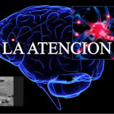 Timeline: Modelos teóricos de la atención