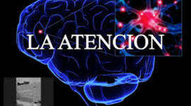 Timeline: Modelos teóricos de la atención