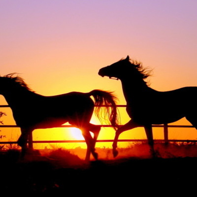 Timeline: Timeline 2015-2016” “United States History Class