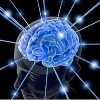 Timeline: Modelos Teóricos de la Atención