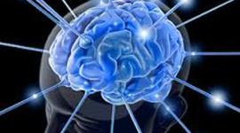 Timeline: Modelos Teóricos de la Atención