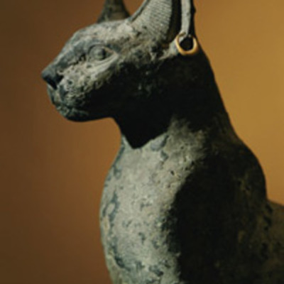 Timeline: Cat Domestication