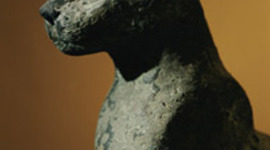 Timeline: Cat Domestication