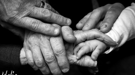 Timeline: History of Families (Miller)