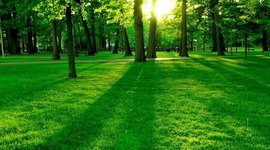 Timeline: LA EVOLUCIÓN DE LA EDUCACIÓN