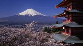 Timeline: Japan's ND