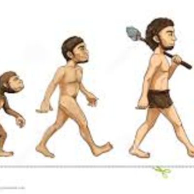 Timeline: Evolution of the Training Profession