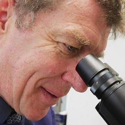 Timeline: Pro Ian Frazer