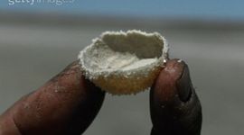 Timeline: A'wee Chi'deedloh ("The Baby Laughed") ceremony