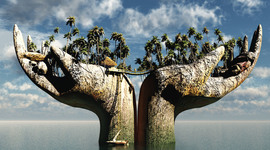 Timeline: Social Media Events