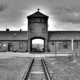 Auschwits birkenau