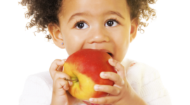 Timeline: School Nutriton