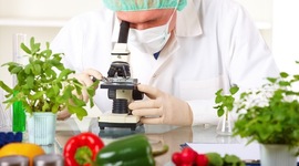 Timeline: History of Food Science