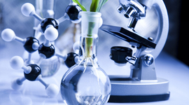 Timeline: Biotechnology Timeline, Nika and Michael p3