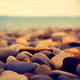 Rocks