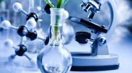 Timeline: History Of Biotechnology: Timeline