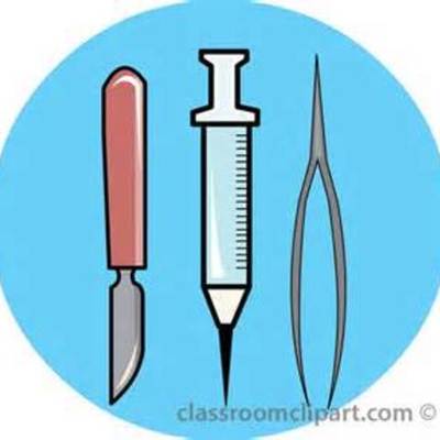 Timeline: Timeline Assignment-Cierra Lukenda
