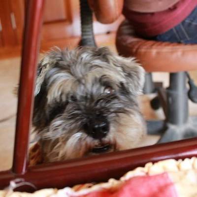 Timeline: BIOGRAFÍA DE XÓCHITL