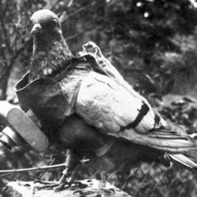 Timeline: Photography 1909 - 1916 project