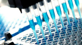 Timeline: Biotech Trough the Ages