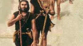 Timeline: EVOLUCIÓN HUMANA SA1