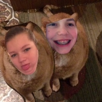 Timeline: Spark notes  (Jessie Olson, Calley Zoltek)