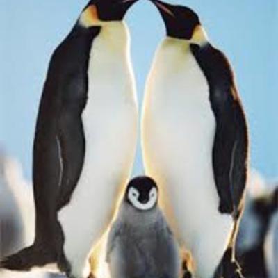 Timeline: Antarctica