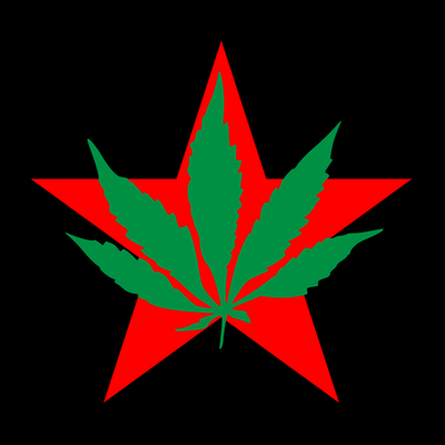 Timeline: The Youth International Party