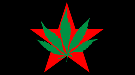 Timeline: The Youth International Party